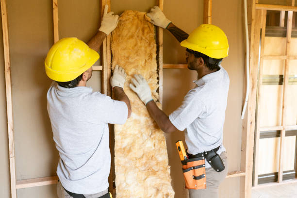 Best Attic Insulation Installation  in Industry, PA
